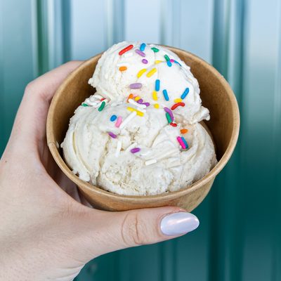 Scoop of vanilla ice cream with sprinkles.